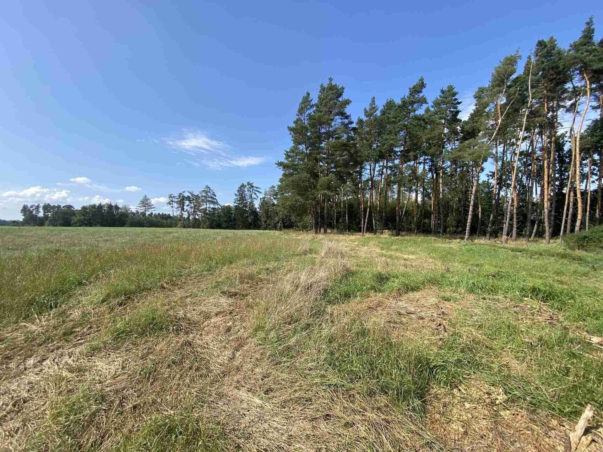 Prodej nemovitosti 8532 m² - foto 5