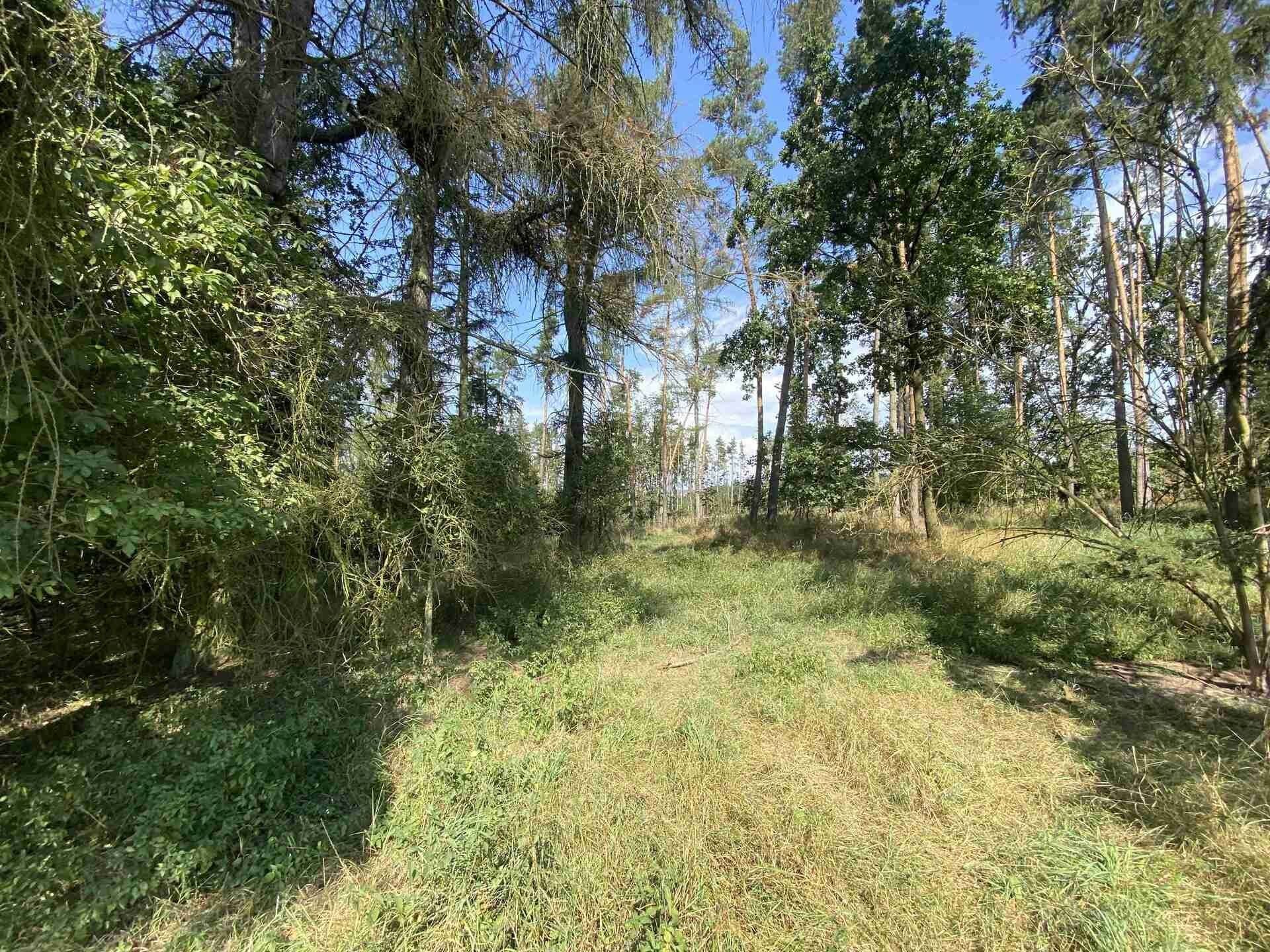 Prodej nemovitosti 8532 m² - foto 6