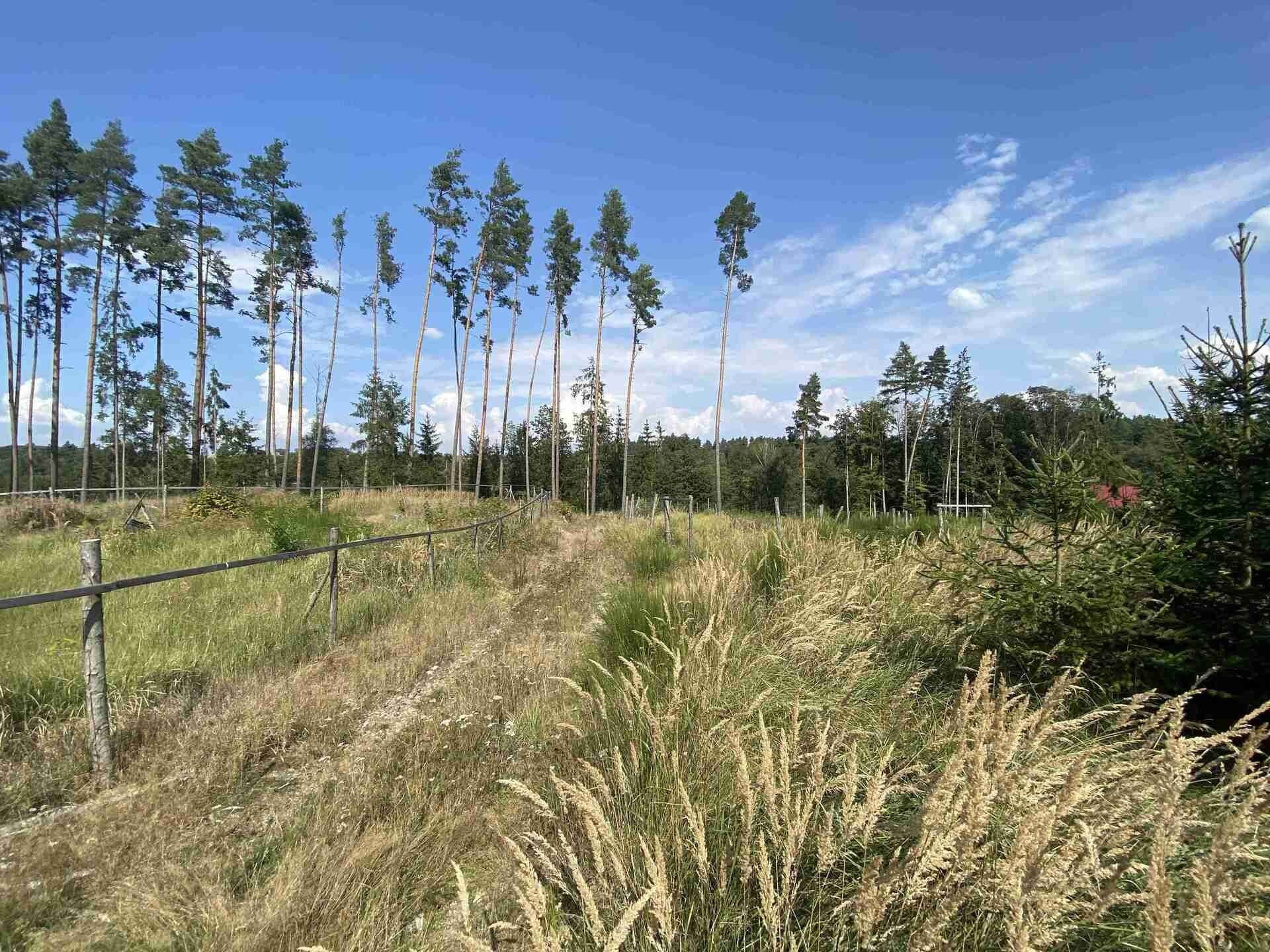 Prodej nemovitosti 8532 m² - foto 7