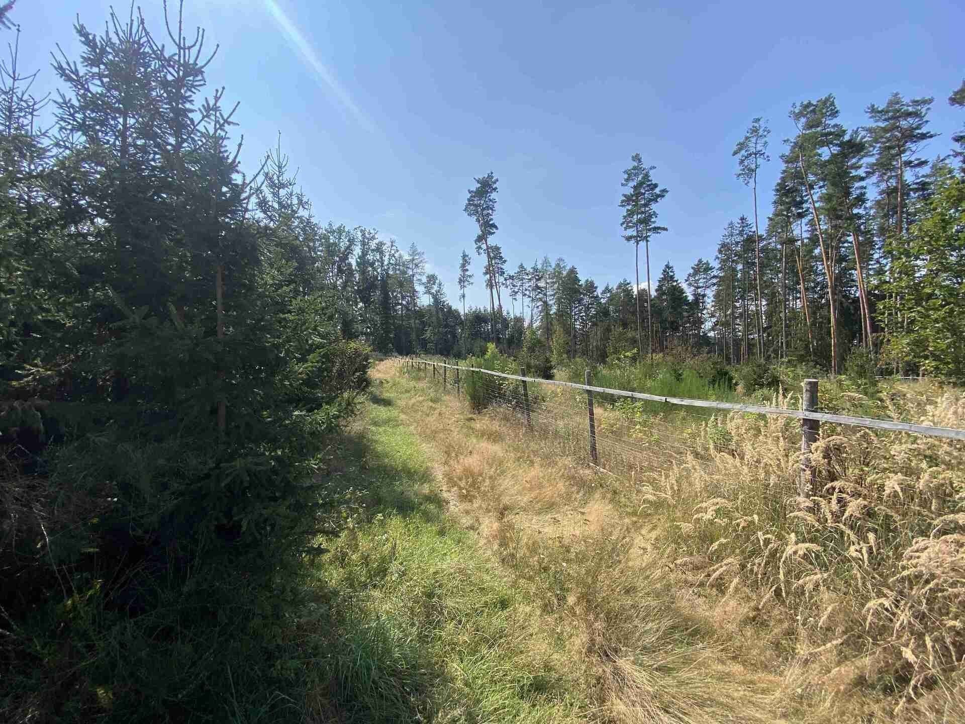 Prodej nemovitosti 8532 m² - foto 8