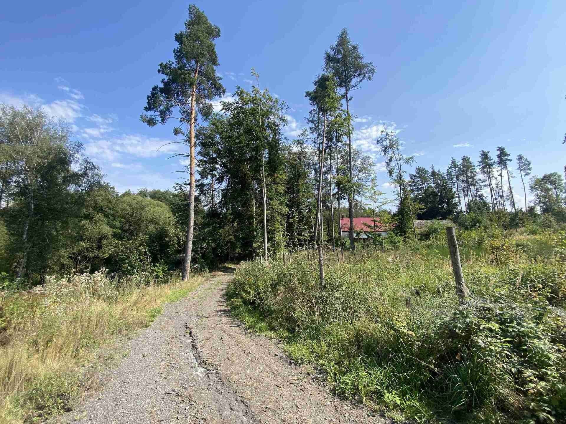 Prodej nemovitosti 8532 m² - foto 10