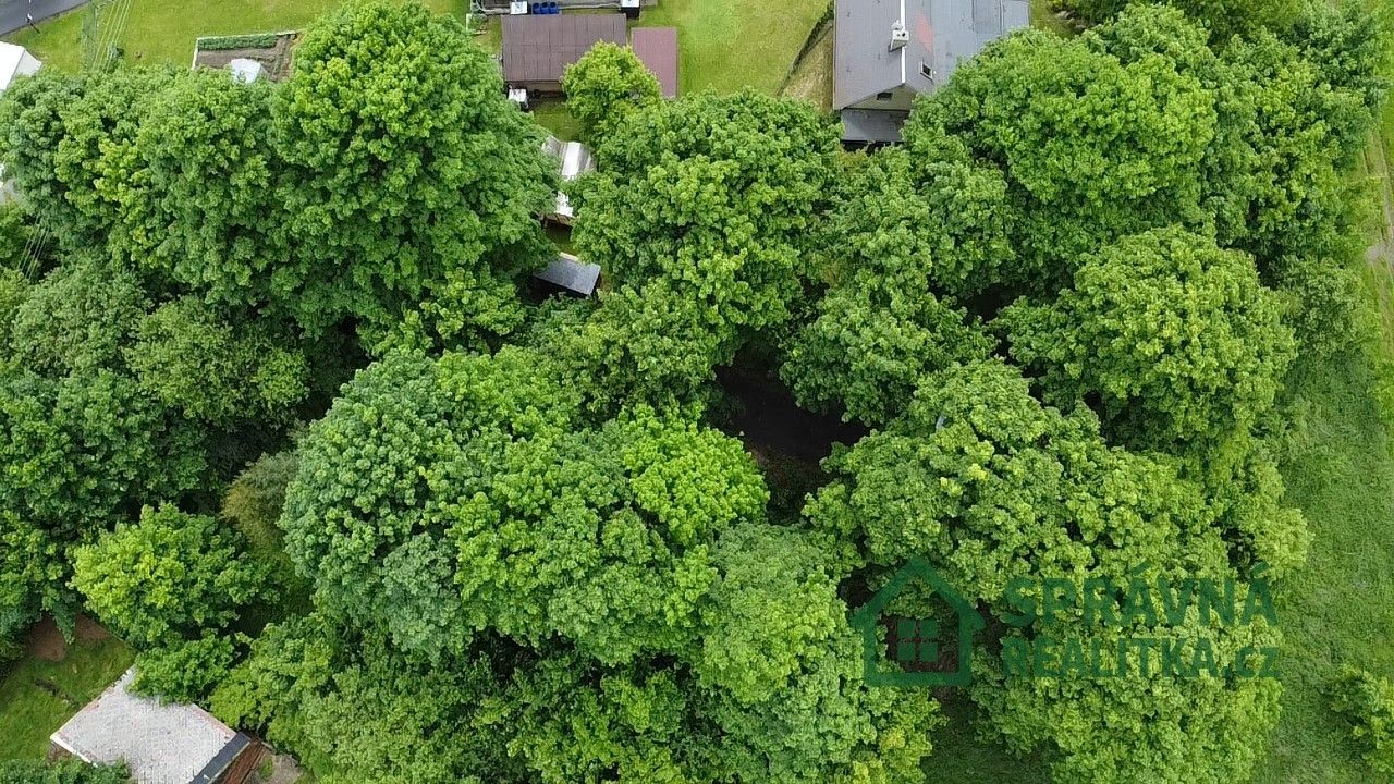 Prodej pozemku 1484 m² - foto 4