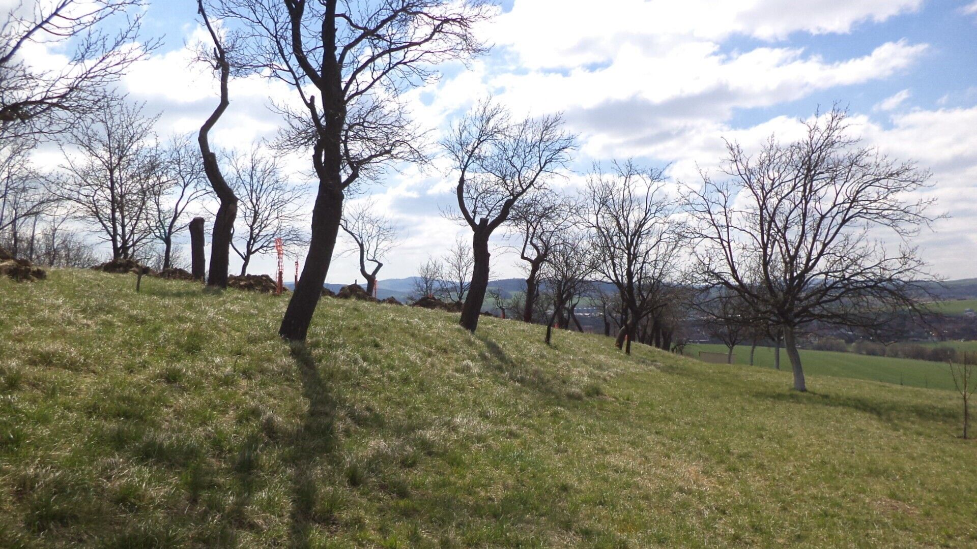 Prodej nemovitosti 984 m² - foto 1