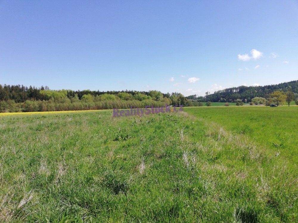 Prodej pozemku 3484 m² - foto 6