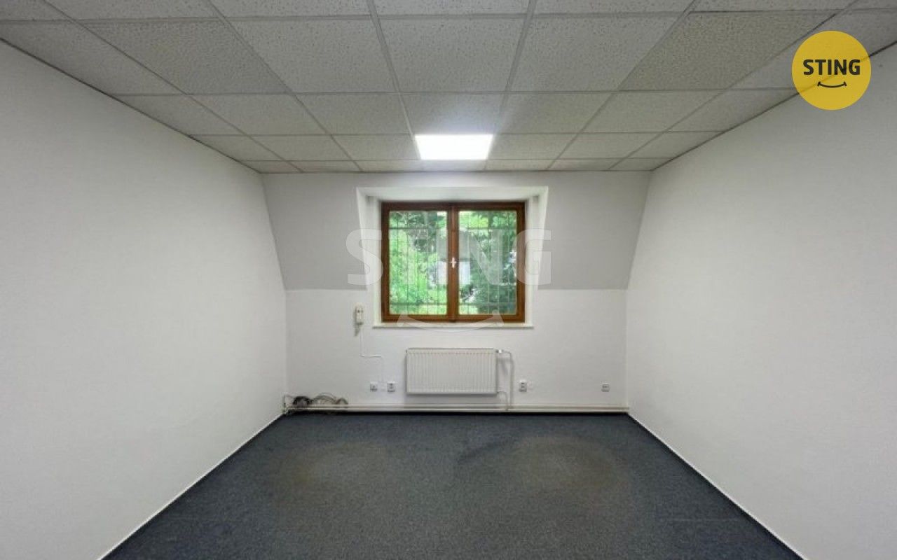Pronájem komerčního prostoru 100 m² - foto 7