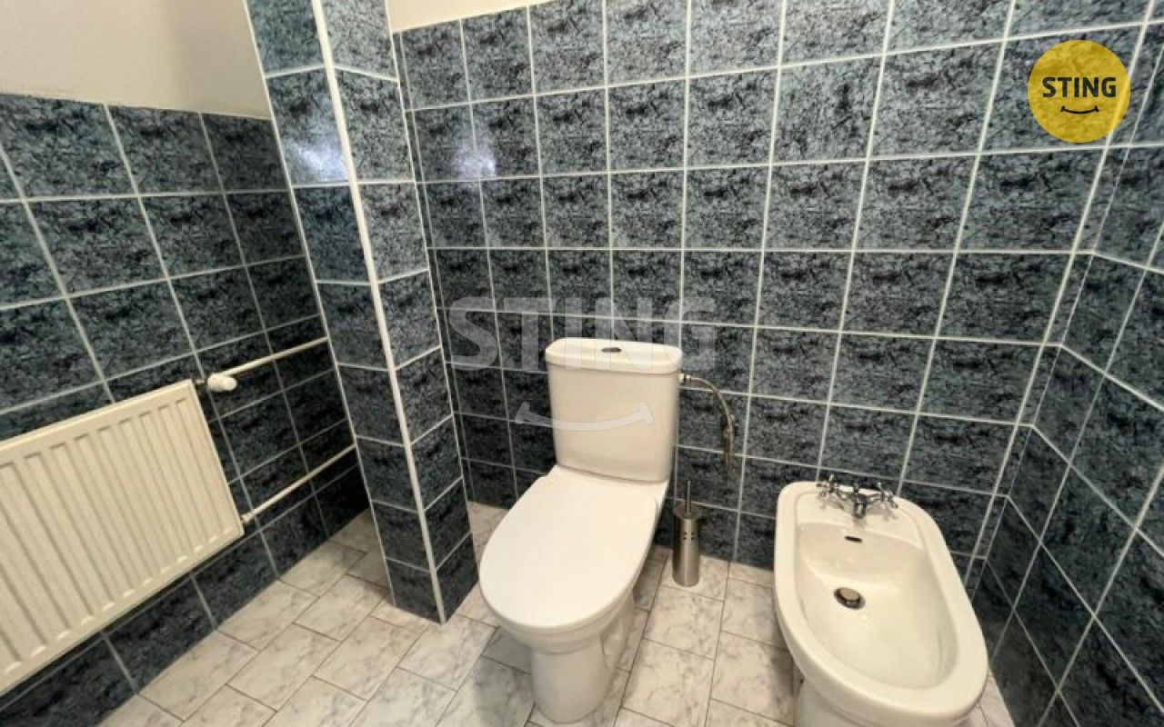 Pronájem komerčního prostoru 100 m² - foto 11