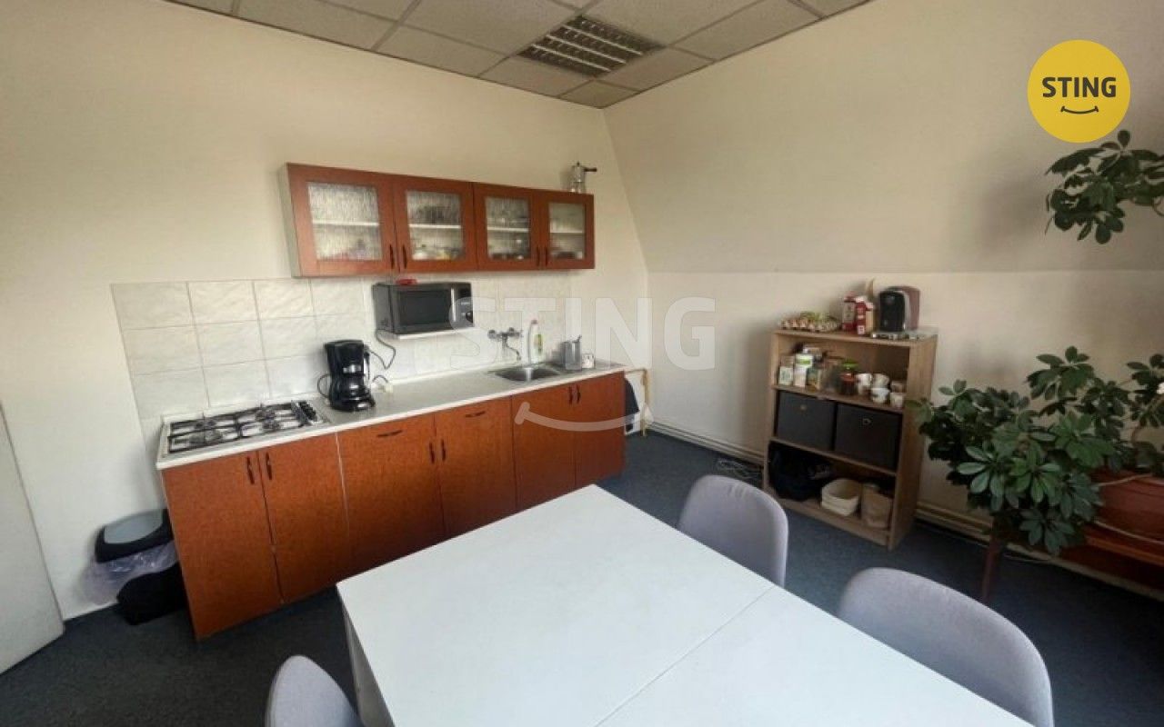 Pronájem komerčního prostoru 100 m² - foto 10