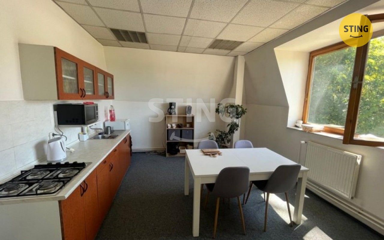 Pronájem komerčního prostoru 100 m² - foto 9