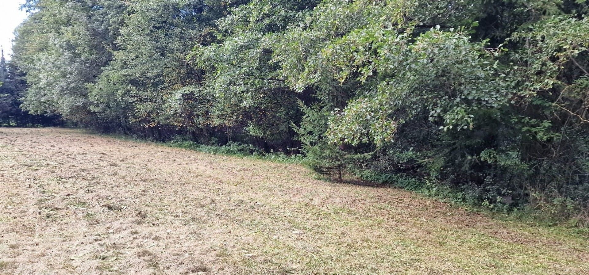 Prodej pozemku 1 m² - foto 9