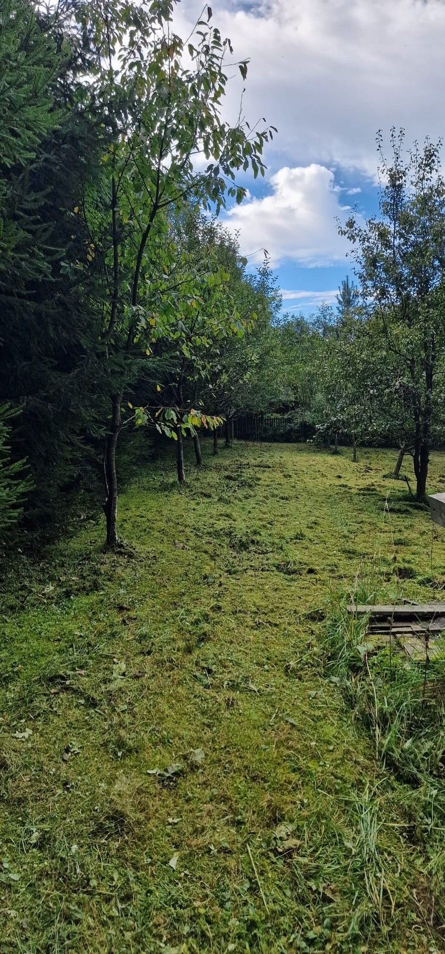 Prodej pozemku 1 m² - foto 13
