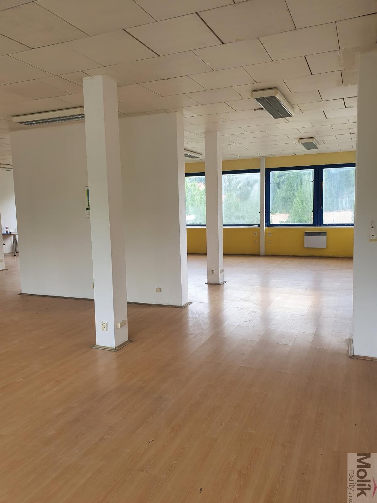 Pronájem nemovitosti 400 m² - foto 13