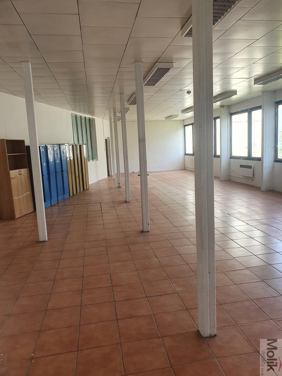 Pronájem nemovitosti 400 m² - foto 15