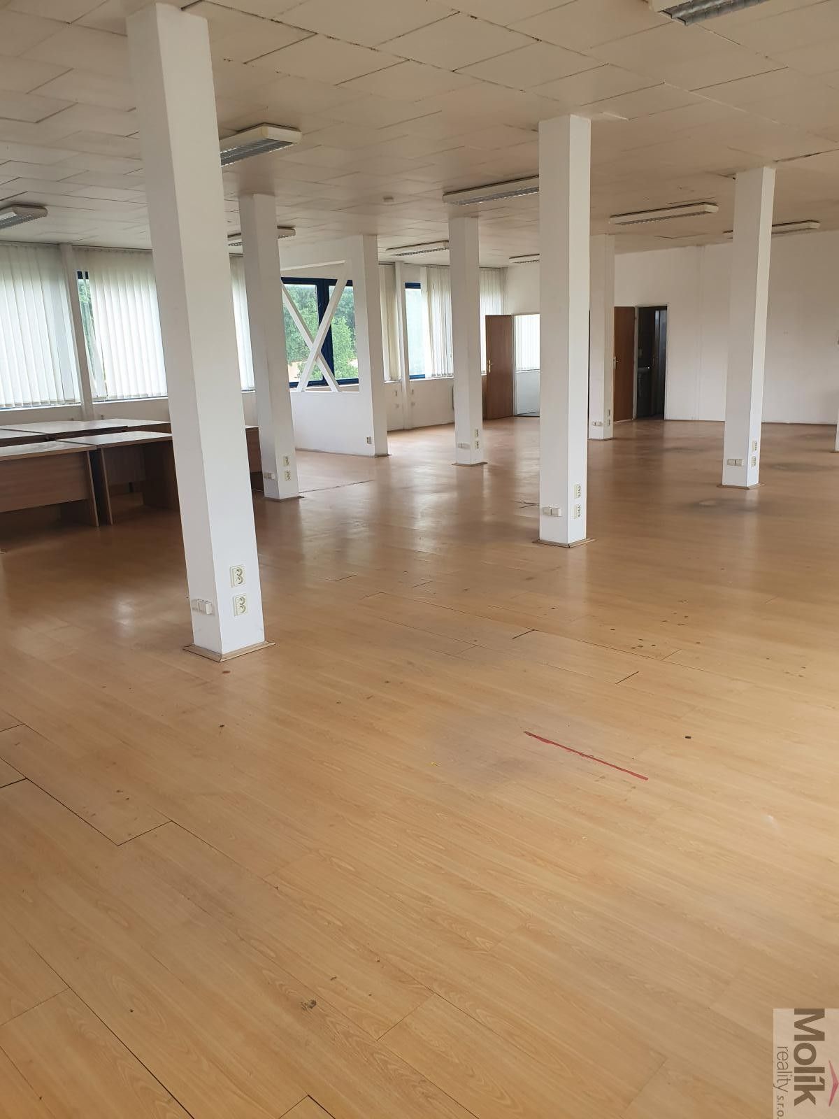 Pronájem nemovitosti 400 m² - foto 12