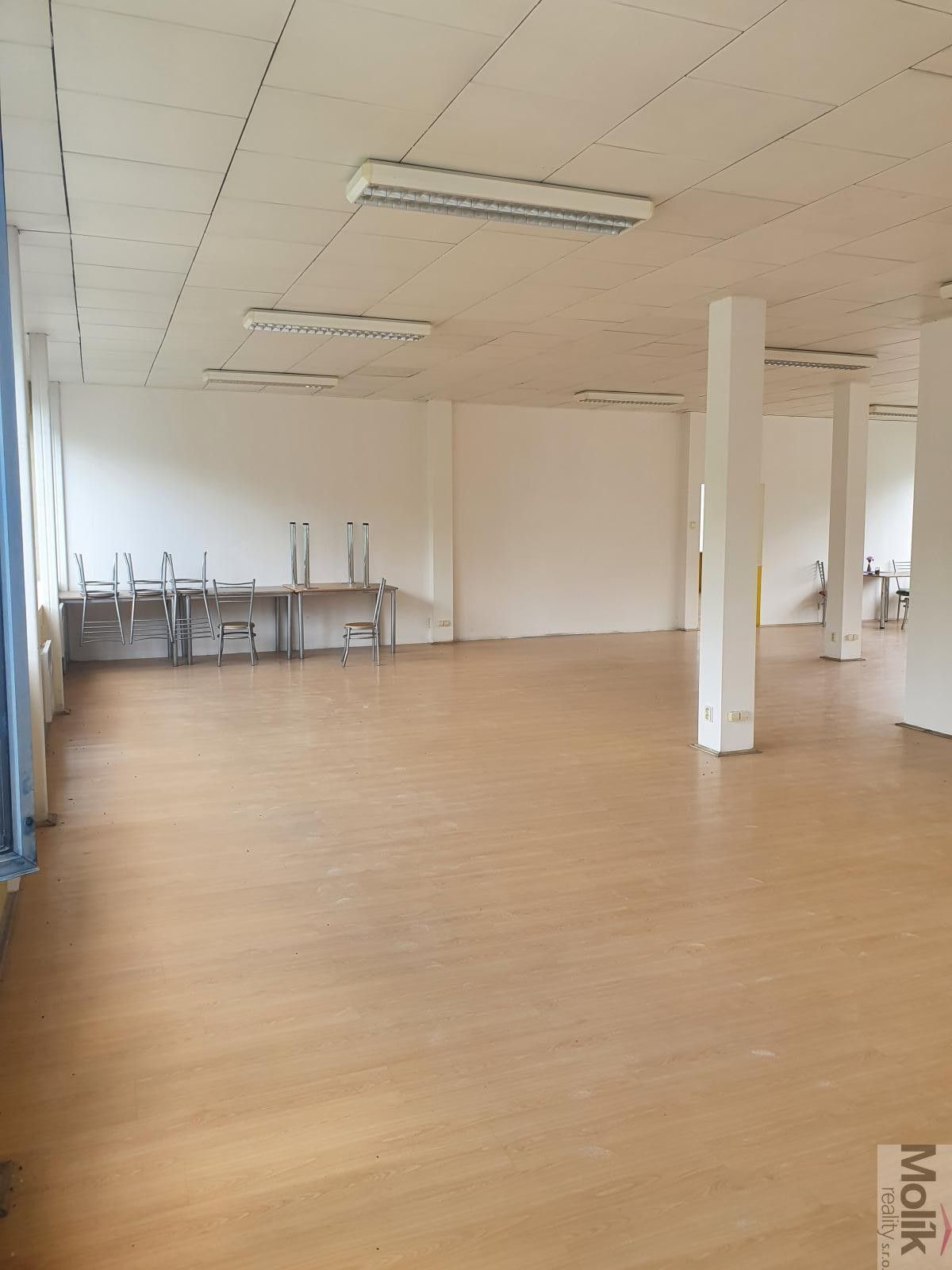 Pronájem nemovitosti 400 m² - foto 14