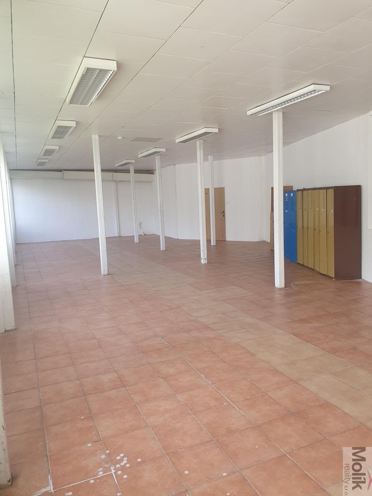 Pronájem nemovitosti 400 m² - foto 16