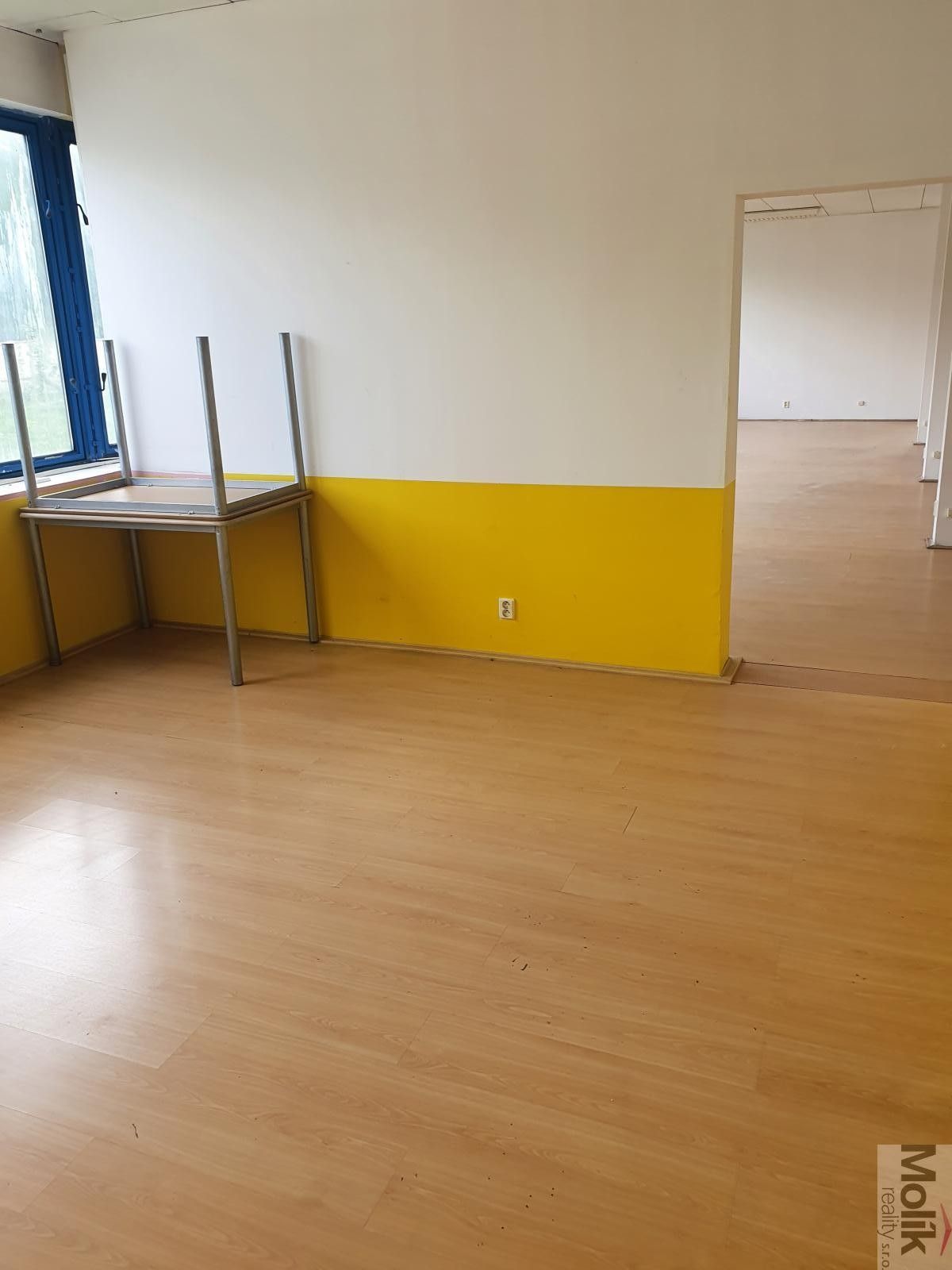 Pronájem nemovitosti 400 m² - foto 23