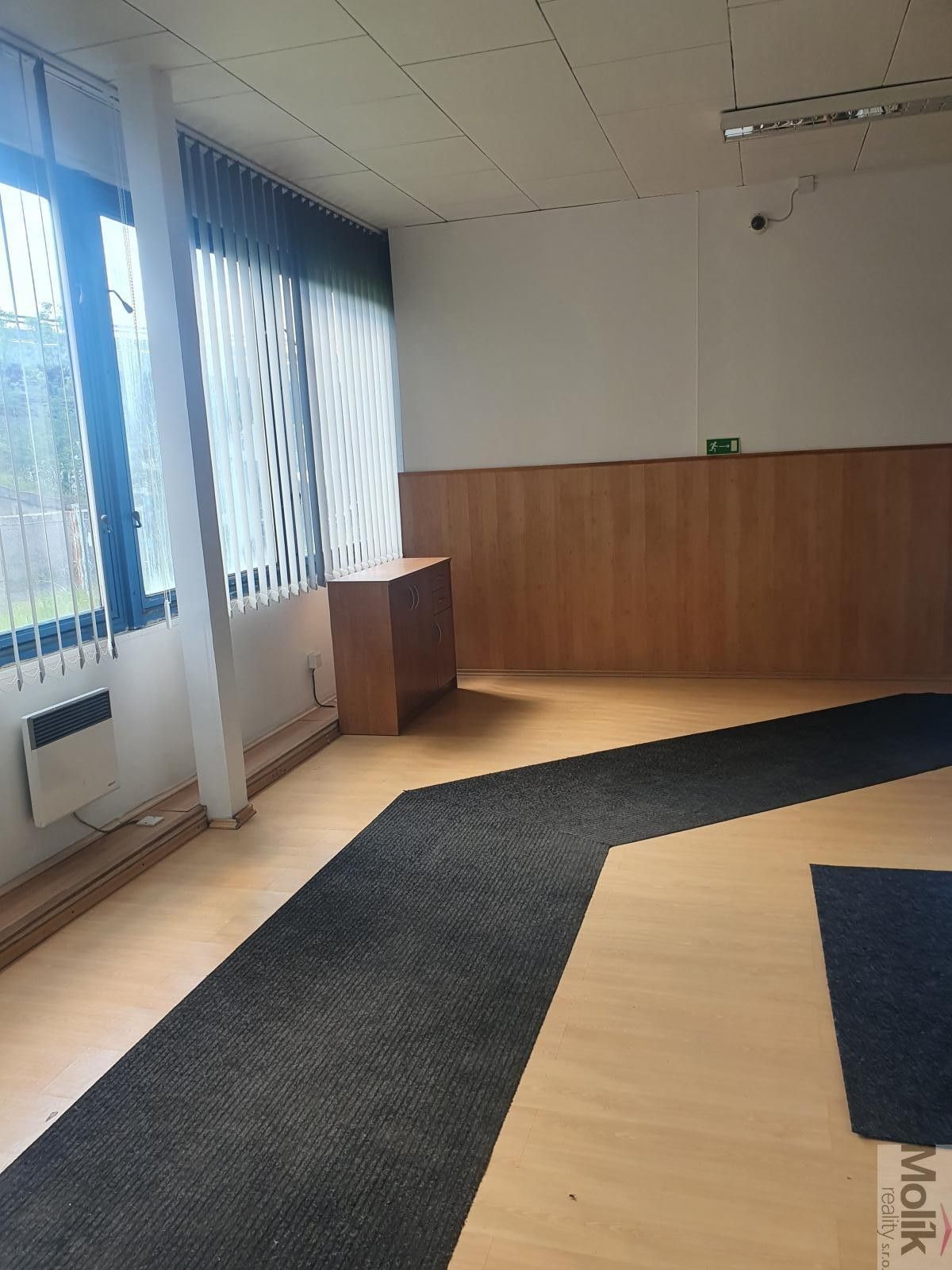 Pronájem nemovitosti 400 m² - foto 28