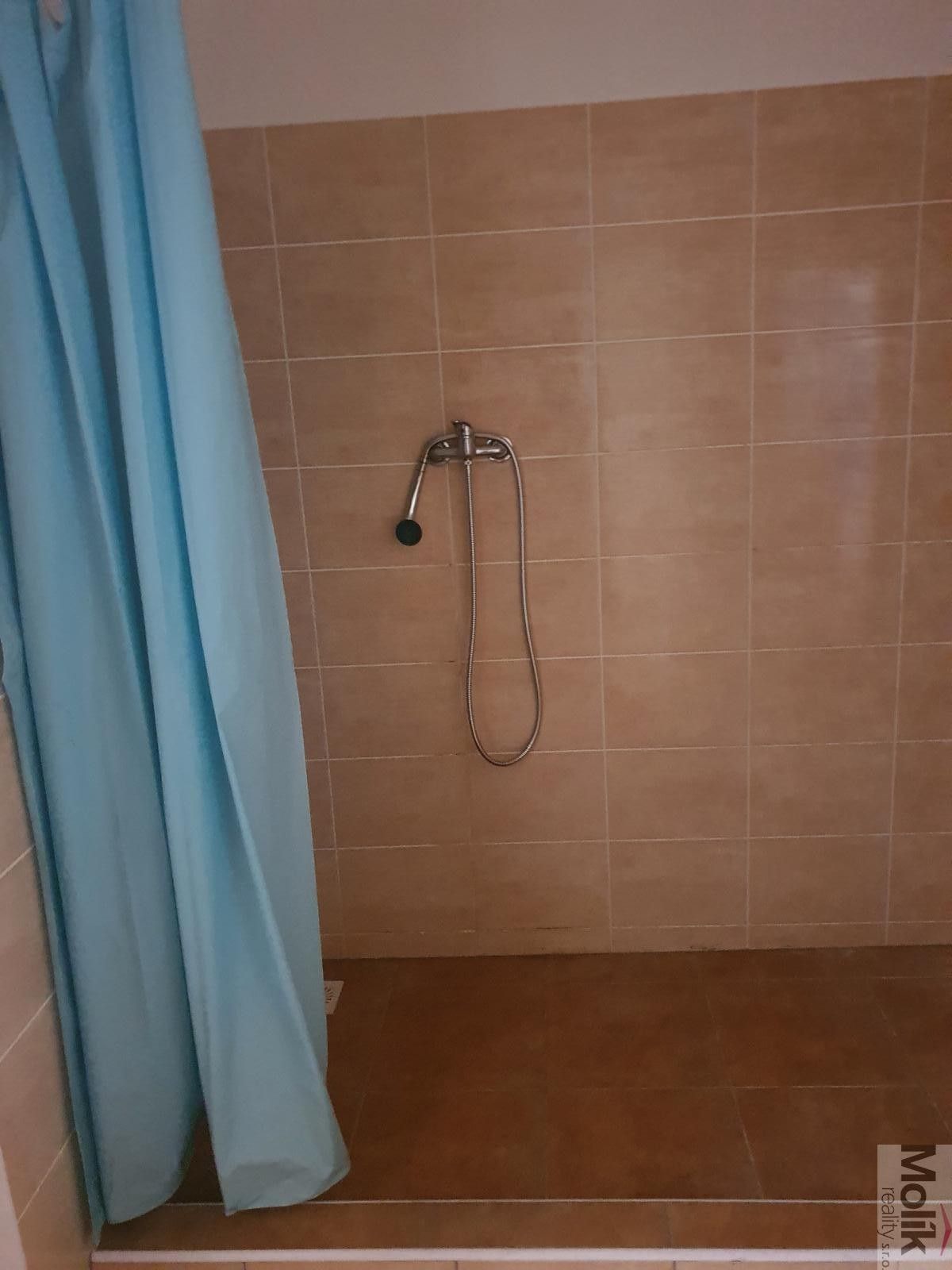 Pronájem nemovitosti 400 m² - foto 30