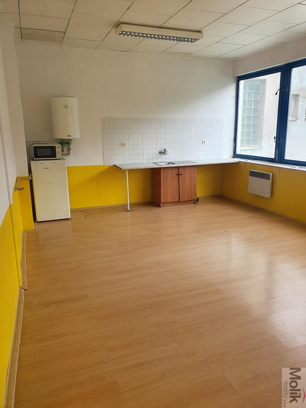 Pronájem nemovitosti 400 m² - foto 25