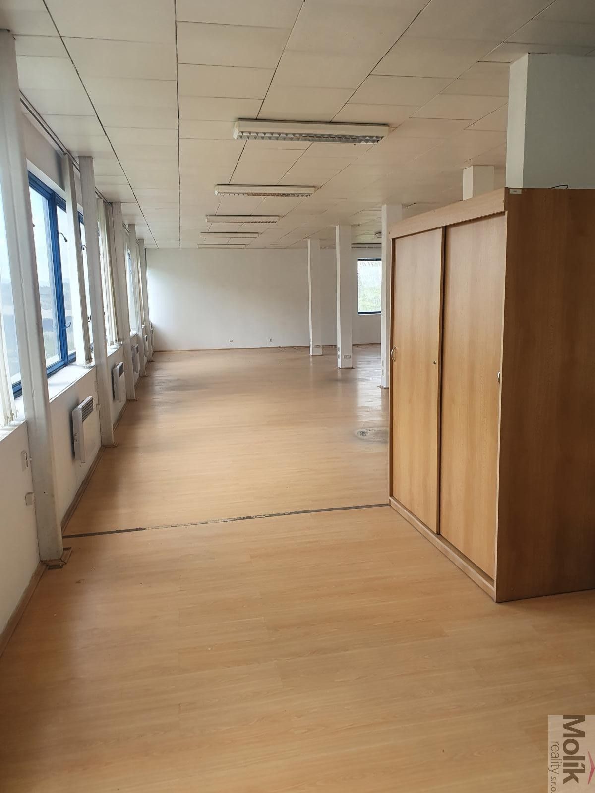 Pronájem nemovitosti 400 m² - foto 26