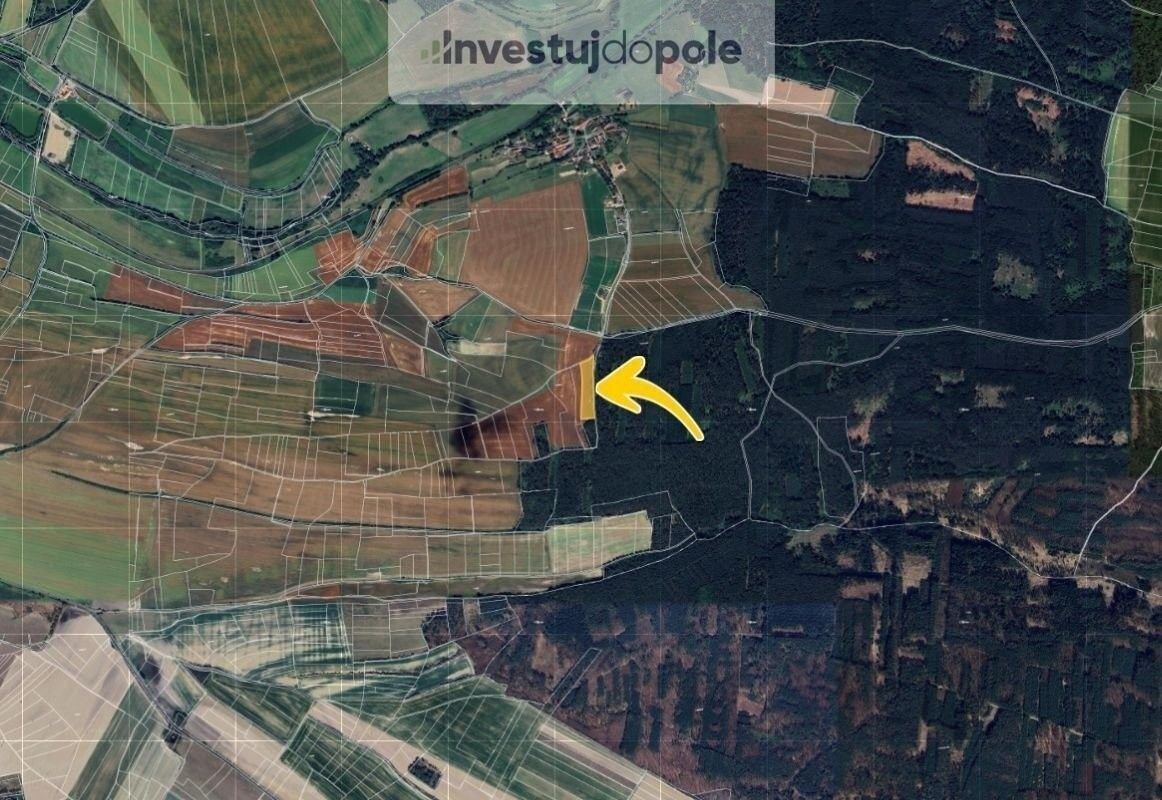 Prodej pozemku 4797 m² - foto 2