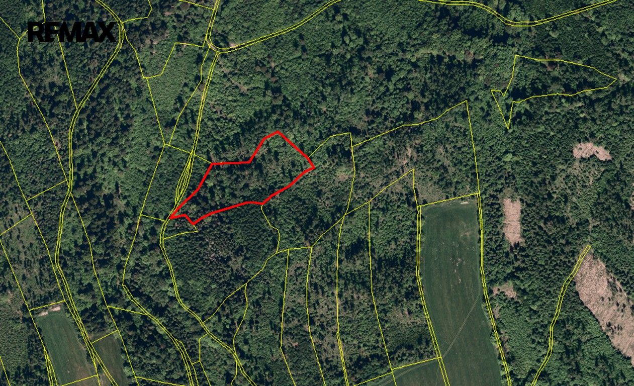 Prodej pozemku 25088 m² - foto 4