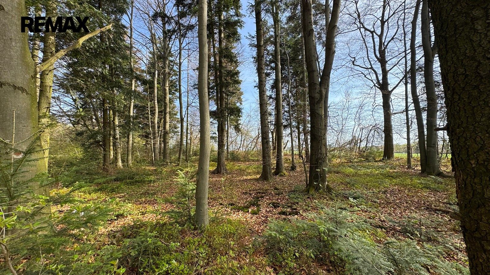 Prodej pozemku 25088 m² - foto 10