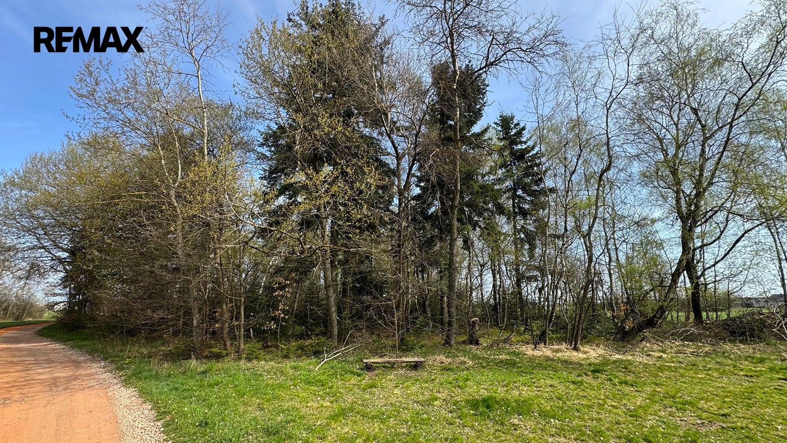 Prodej pozemku 25088 m² - foto 16