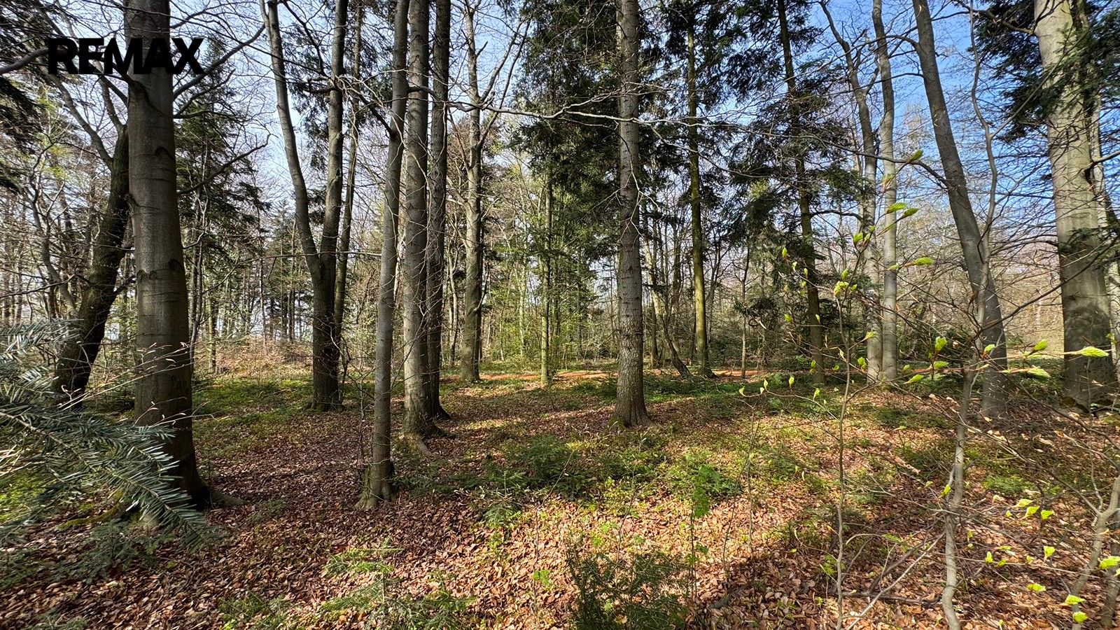 Prodej pozemku 25088 m² - foto 12