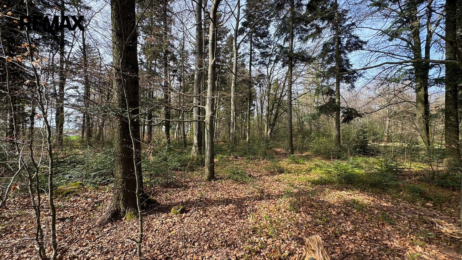 Prodej pozemku 25088 m² - foto 14
