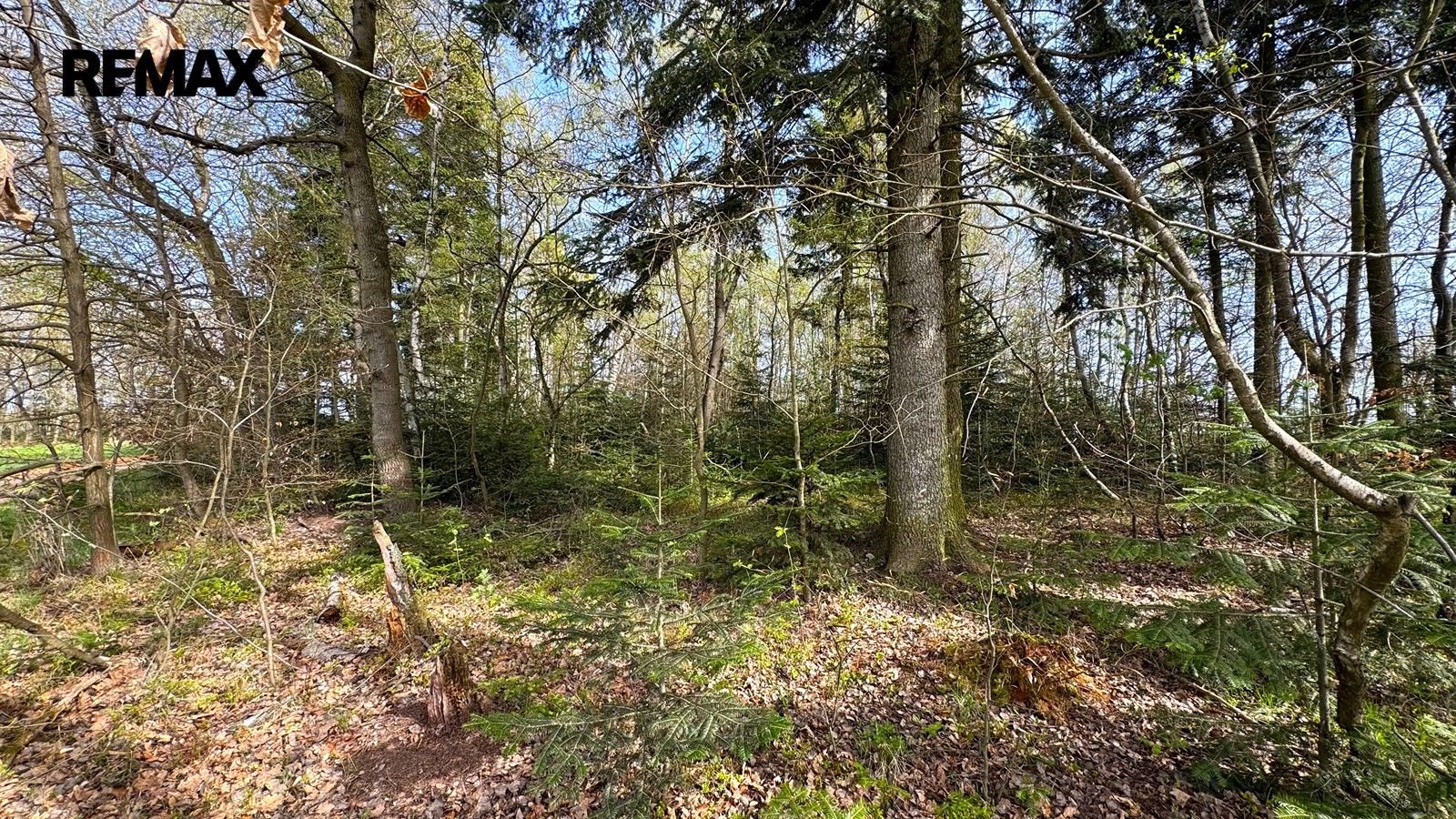 Prodej pozemku 25088 m² - foto 17