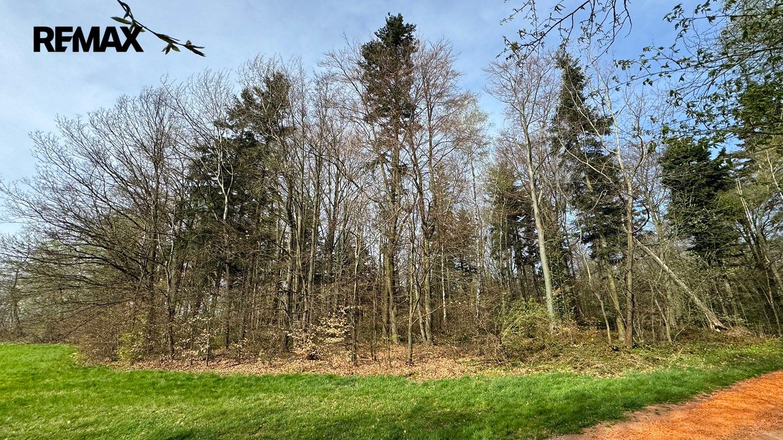 Prodej pozemku 25088 m² - foto 19