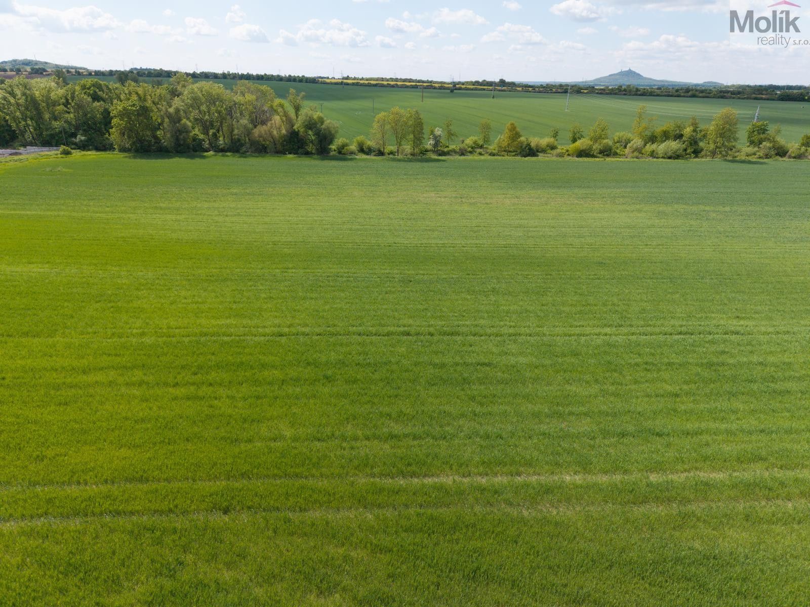 Prodej pozemku 17476 m² - foto 6