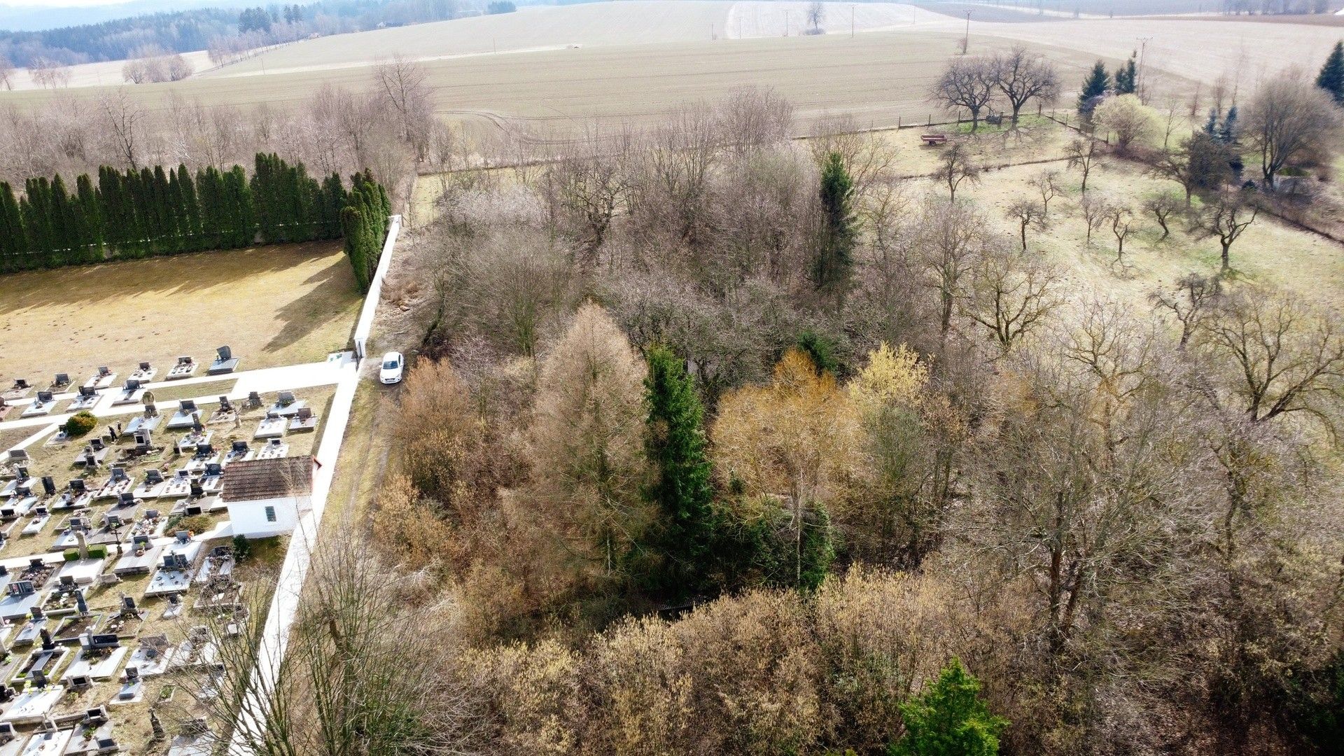 Prodej pozemku 1556 m² - foto 3