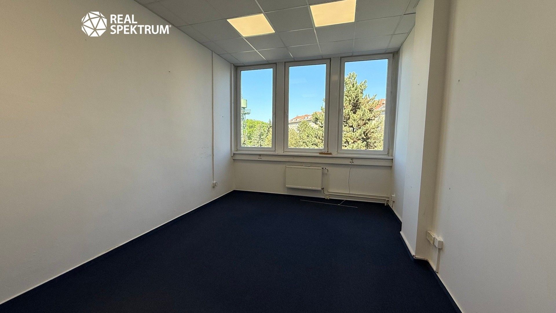 Pronájem komerčního prostoru 258 m² - foto 4
