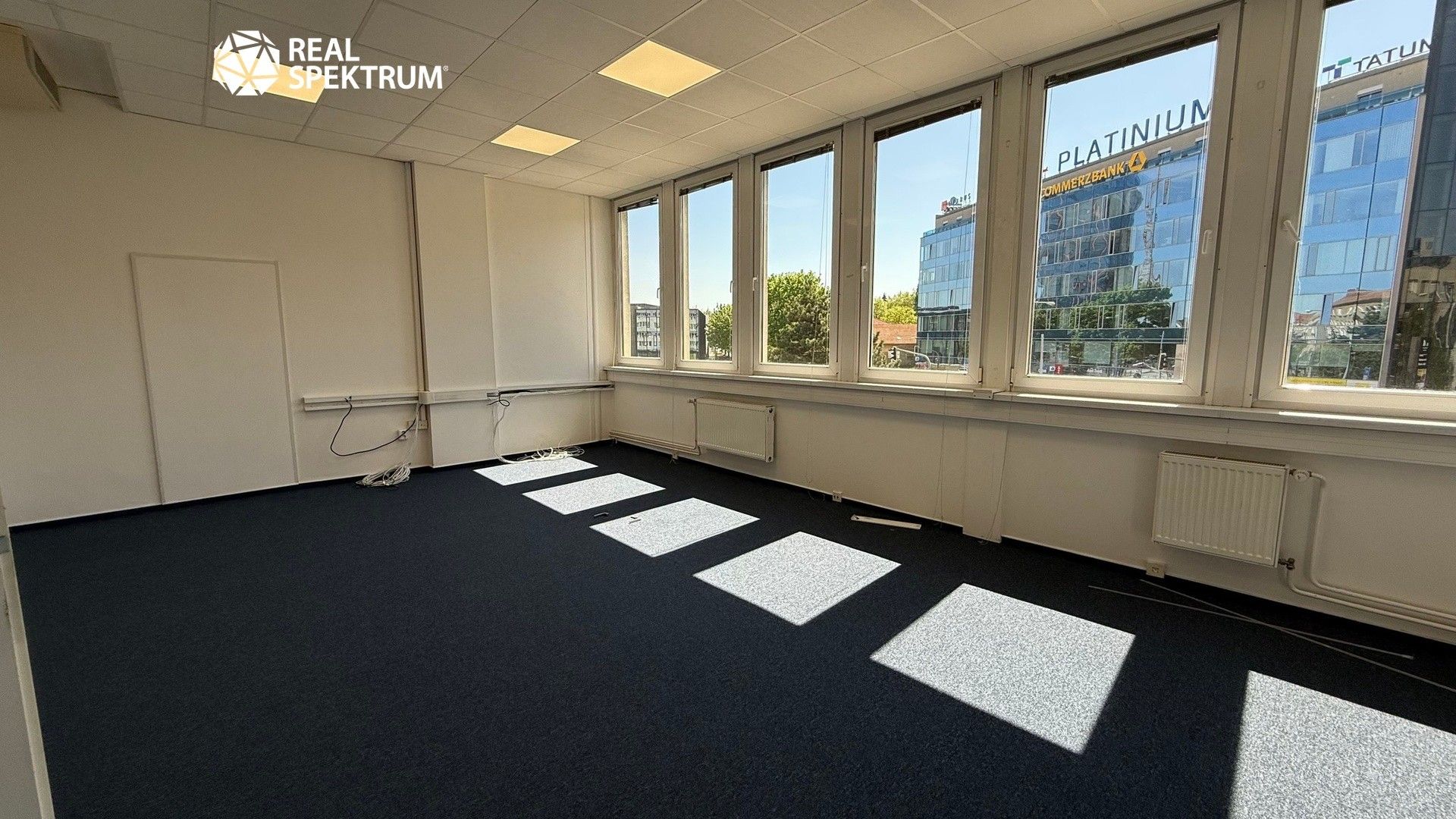 Pronájem komerčního prostoru 258 m² - foto 7