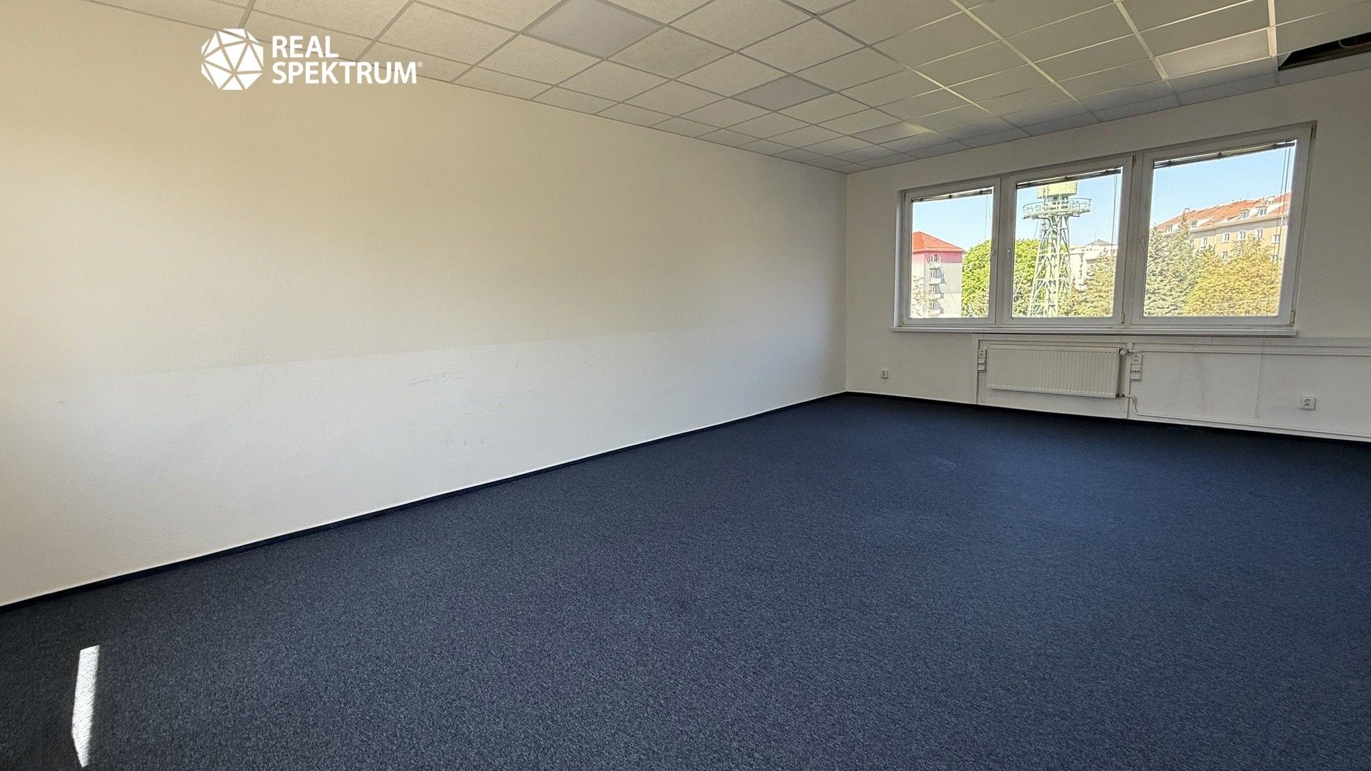 Pronájem komerčního prostoru 258 m² - foto 6