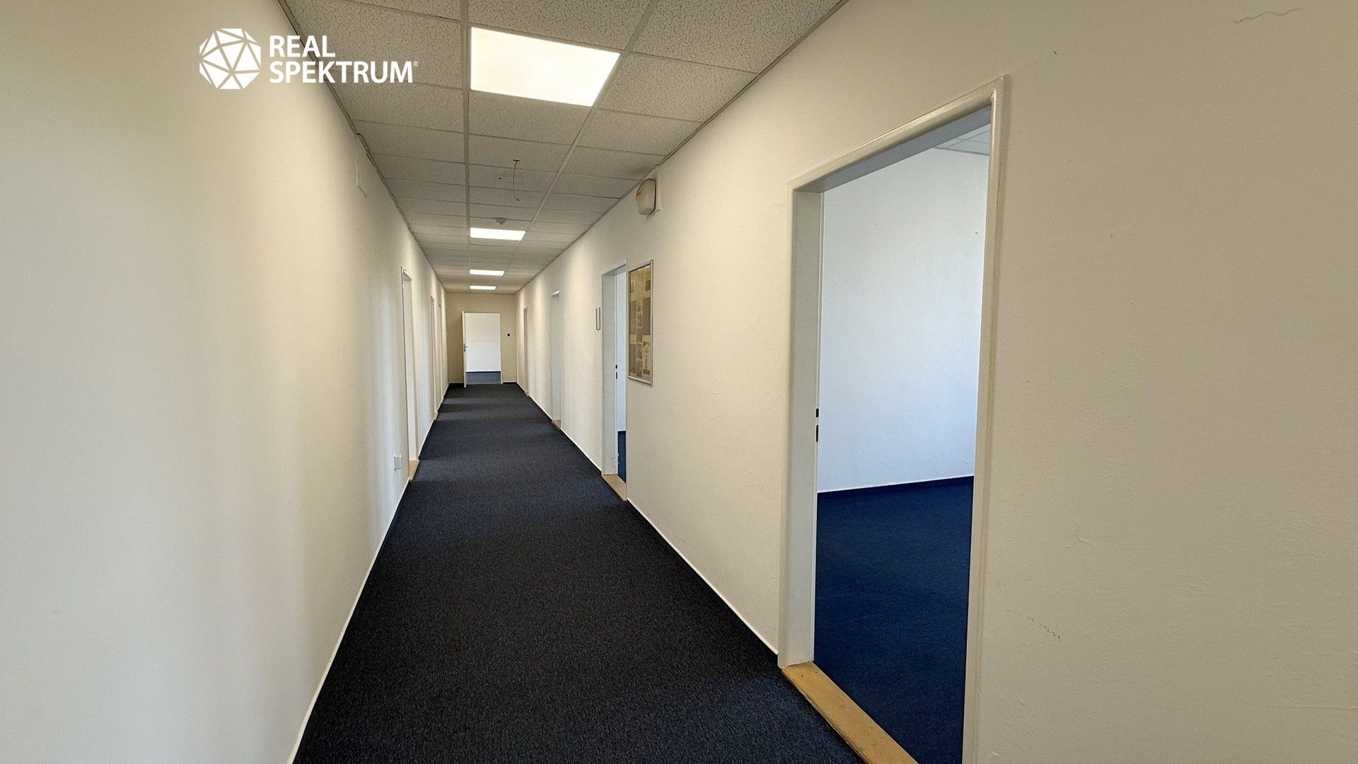 Pronájem komerčního prostoru 258 m² - foto 9