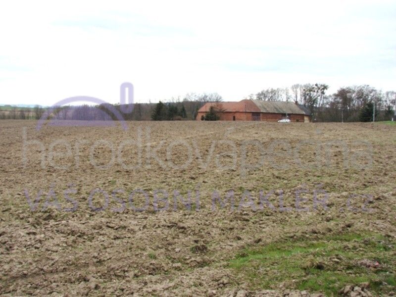 Prodej pozemku 1008 m² - foto 6
