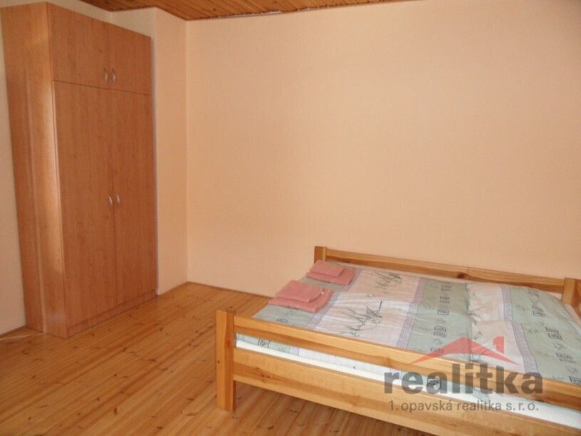 Pronájem bytu 1+1 46 m² - foto 3