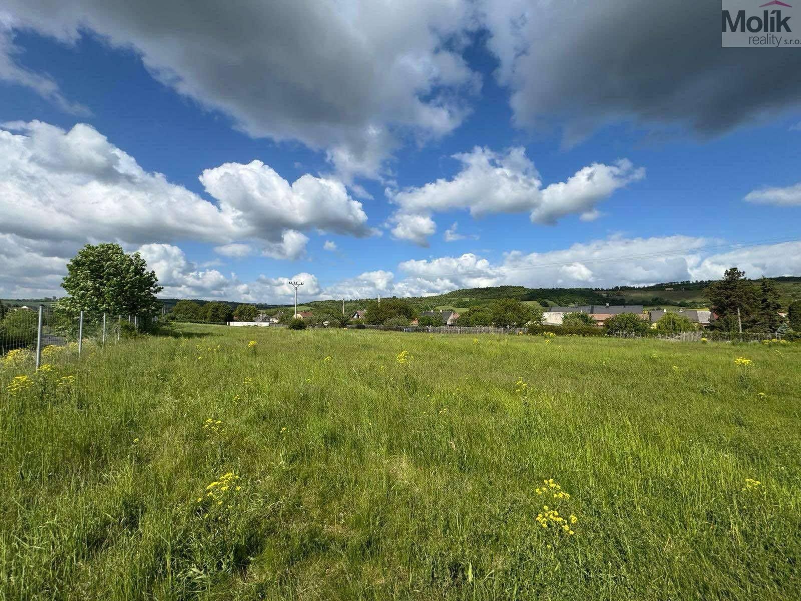 Prodej pozemku 6880 m² - foto 2