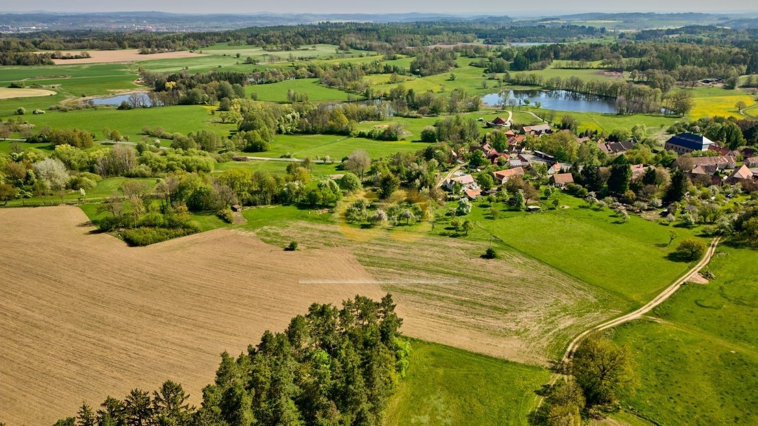 Prodej pozemku 8000 m² - foto 7