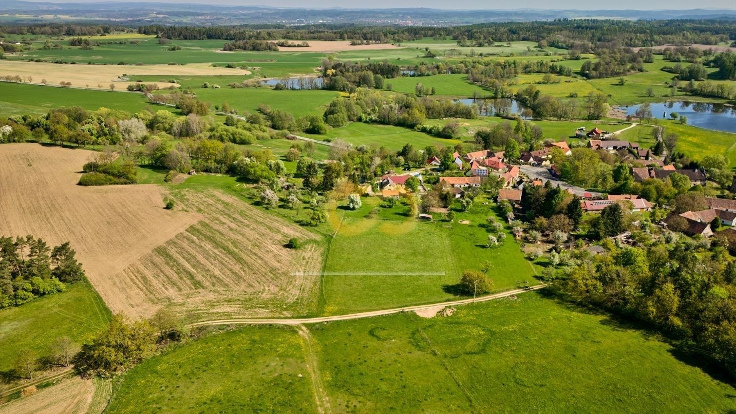 Prodej pozemku 8000 m² - foto 4