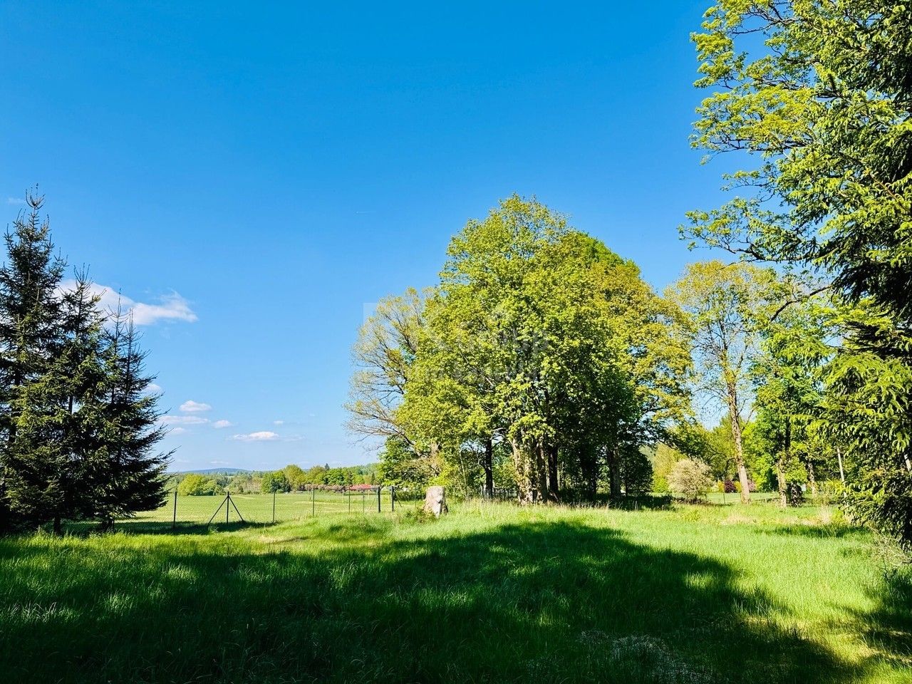 Prodej pozemku 1232 m² - foto 4