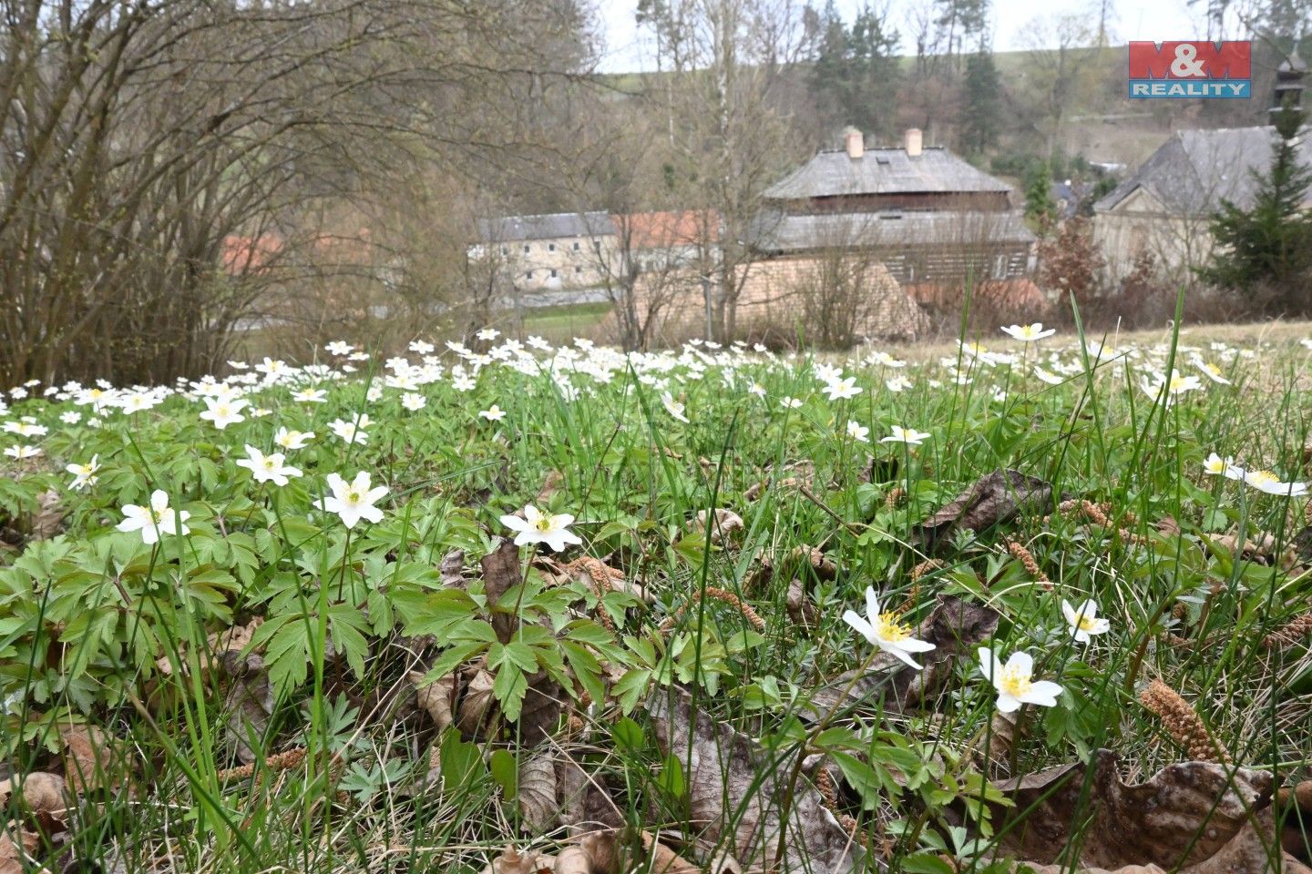 Prodej domu 60 m² - foto 16