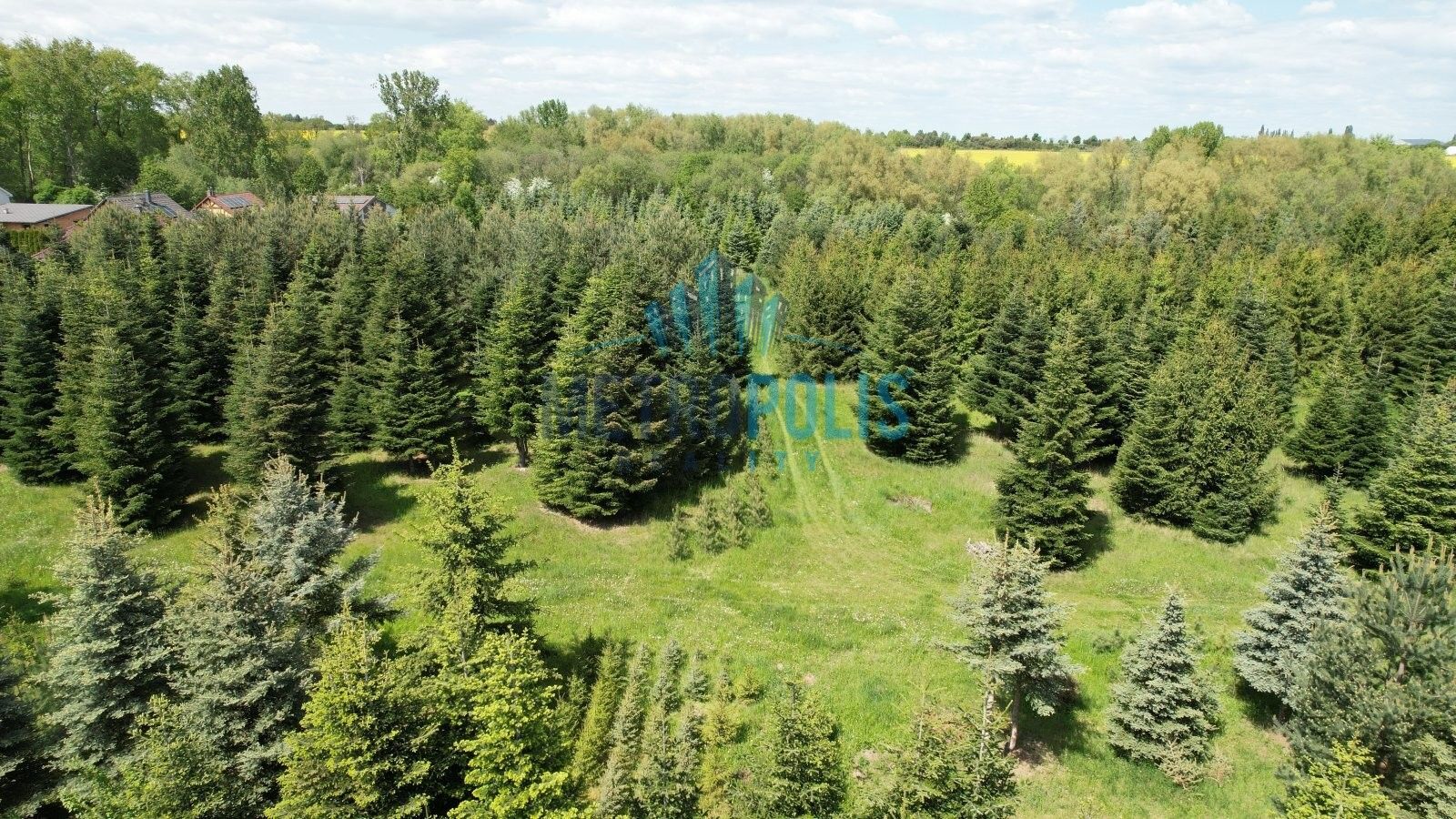 Prodej pozemku 1240 m² - foto 12
