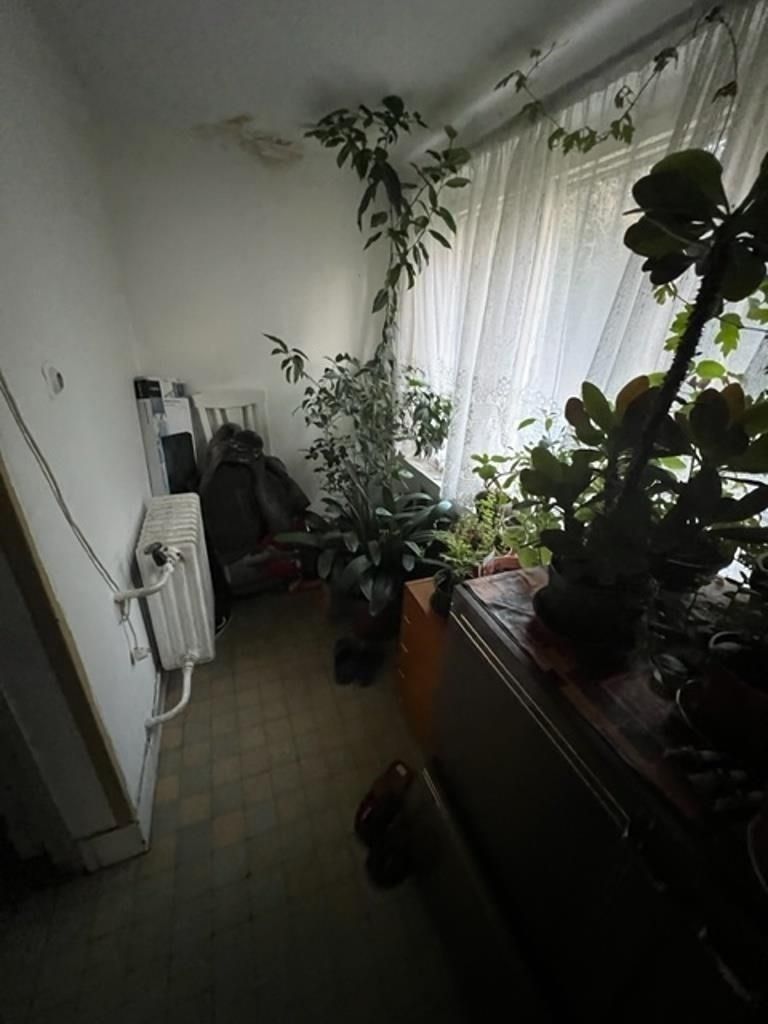 Prodej domu 250 m² - foto 14