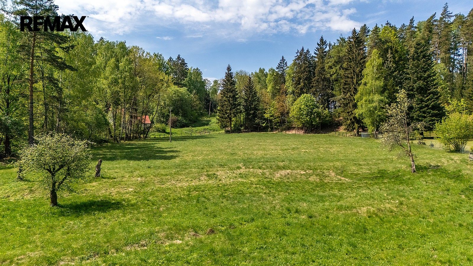 Prodej pozemku 5335 m² - foto 5