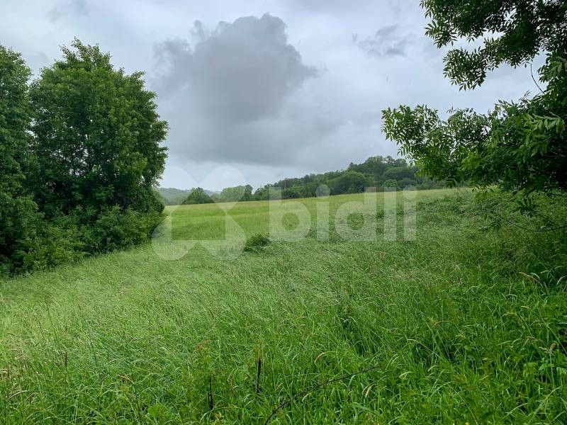 Prodej pozemku 1951 m² - foto 3