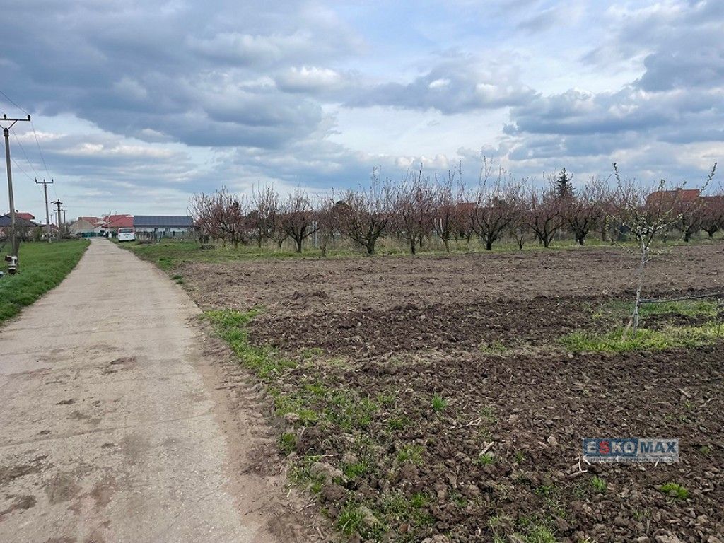 Prodej pozemku 1491 m² - foto 4